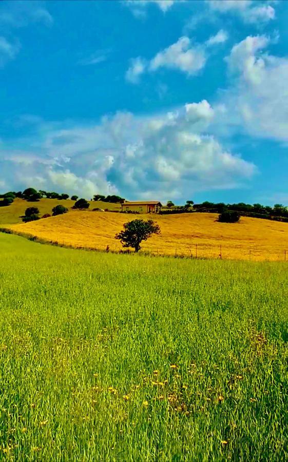 San Leonardo Country House Calangianus ภายนอก รูปภาพ